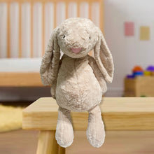 Load image into Gallery viewer, Loopy Eared Bunny Plush | Soft Toy-LOFA-Love for Arcade
