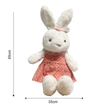 将图片加载到图库查看器，Bunny Plush Doll | Soft Toy-LOFA-Love for Arcade
