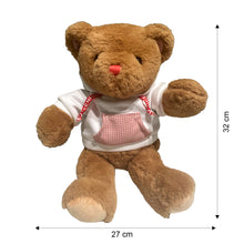 将图片加载到图库查看器，Brown Teddy Bear | Soft Toy-LOFA-Love for Arcade

